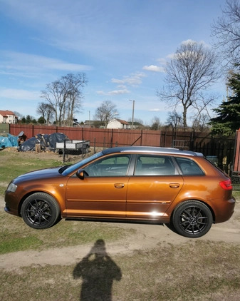 Audi A3 cena 23000 przebieg: 238000, rok produkcji 2005 z Miastko małe 92